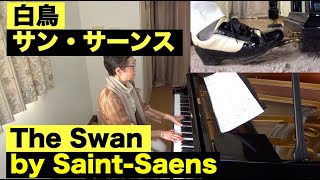 Download lagu The Swan, Saint-Saens 白鳥-組曲・動物の謝肉祭より-  サン・サーンス作曲「ズルいピアノ」に丁寧にペダル付けてみた〜ムジカ・アレグロ〜 mp3