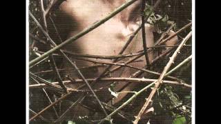 the zen circus - l'anarchico e il generale