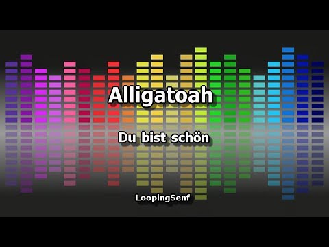 Alligatoah - Du Bist schön - Karaoke