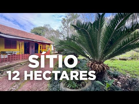 SÍTIO A VENDA EM em SANTA CATARINA | CASA FRUTAS ÁGUA DE NASCENTE R$540MIL
