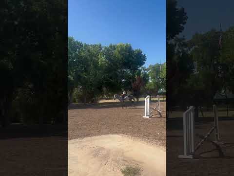 LaRock RC video 4