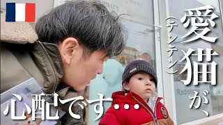 猫の採血でトラブル？血液検査を自分で郵送と言われセカンドオピニオンへ【動物病院】