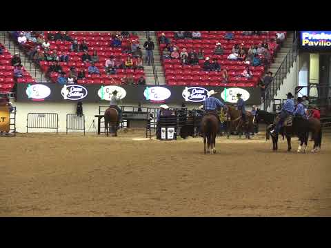 World Series of Team Roping #15 Finale - 2017