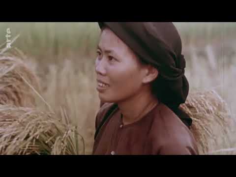 Geschehen, neu gesehen. - "Wahre Geschichte" Vietnam. Ein Bürgerkrieg Doku (2022)