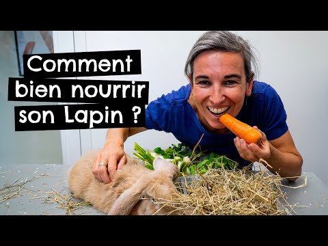 , title : 'Comment bien nourrir son Lapin ? 🐰'