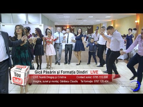 Gica Pasarin si Formatia Dindiri | Colaj HORA, BRAURI, Muzica Petrecere | Nunta Dragos si Cristina