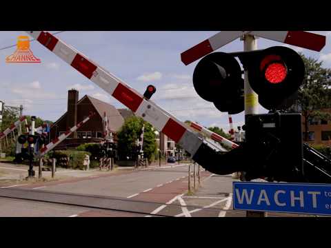 DUTCH RAILROAD CROSSING - Den Dolder - Dolderseweg