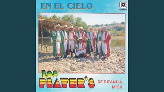 Si No Te Quisiera Lyrics English Translation