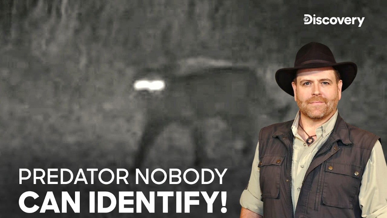 Thumbnail Download HD Thumbnail (1280x720)