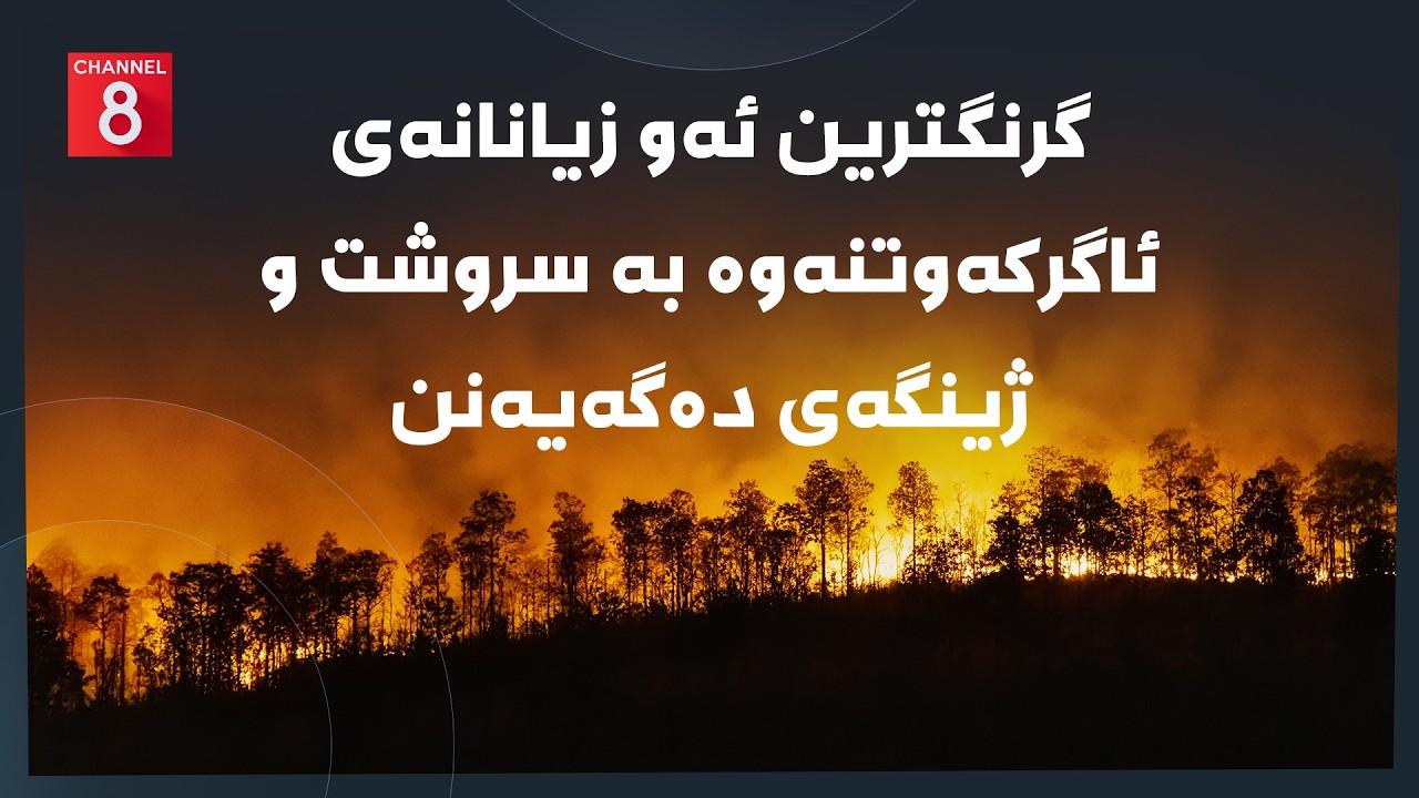 ڤیدیۆ | دەنگی زەوی - گرنگترین ئەو زیانانەی ئاگرکەوتنەوە بە سروشت و ژینگەی دەگەیەنن