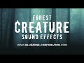Forest Creature Sound Effects, Wood Textures, Giant Footsteps, Breaking, Creaking Wood Sounds