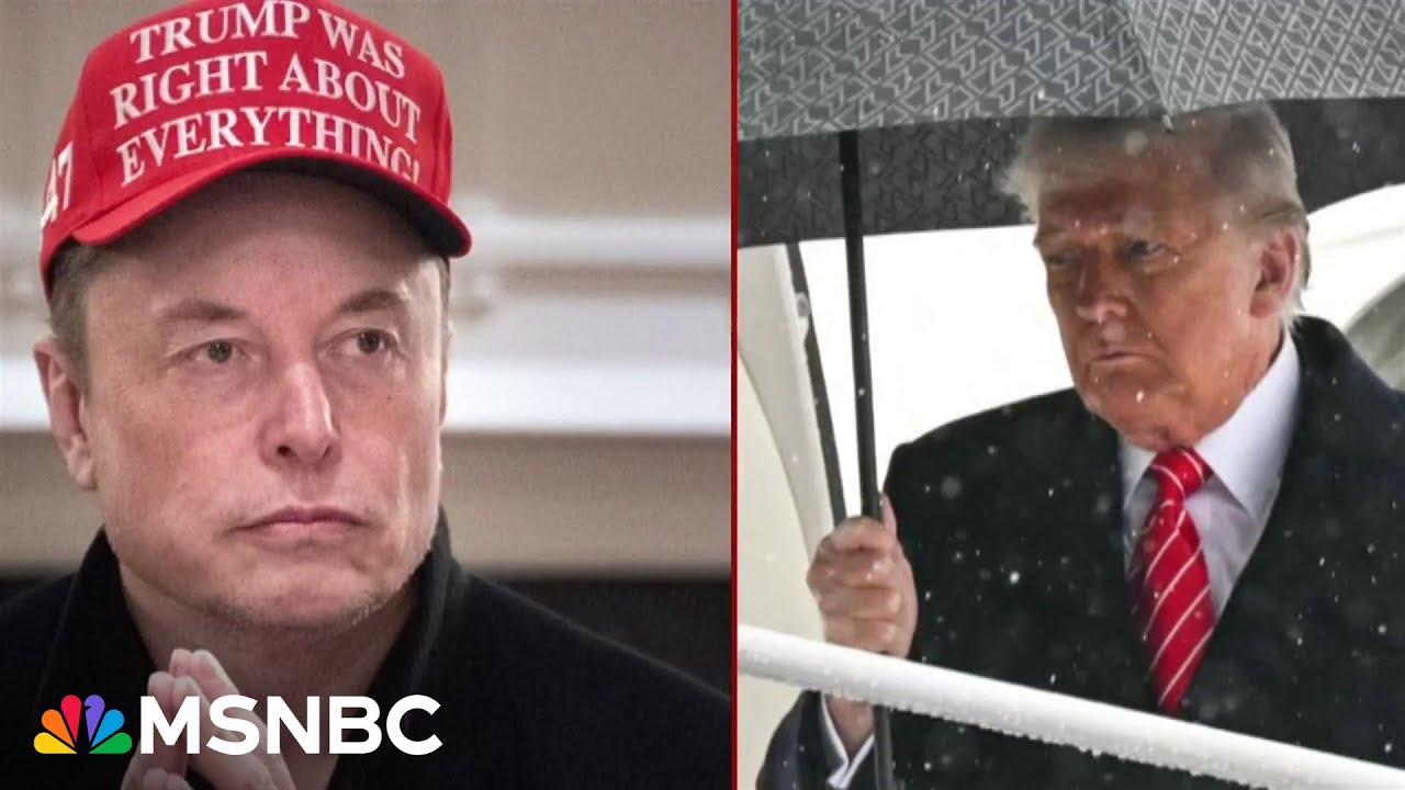 Nicolle Wallace: Elon Musk and Donald Trump public feud is 'two tarantulas in a bowl'