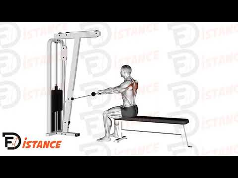 Exercice Shrugs horizontaux à la poulie