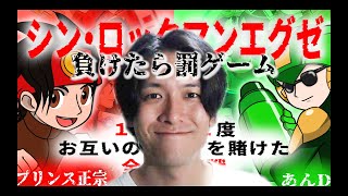シンロックマン【顔出し】ロックマンエグゼ５