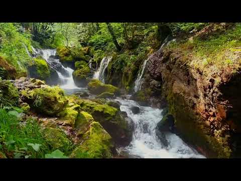 ACALMAR A MENTE INQUIETA, RELAXAR E MEDITAR