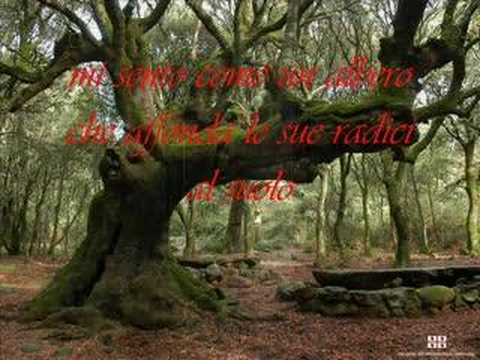 RADICI - RATTI DELLA SABINA