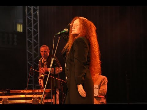 Neca Falk - Maček Muri