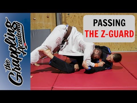 Passing The Z Guard!