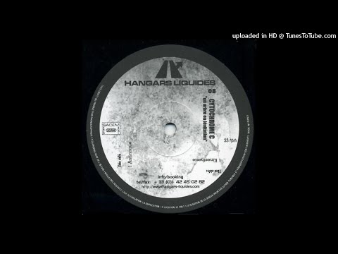 Cytochrome C - Un arbre en lévitation [HL 008] (1998) - [Industrial Hardcore, Noise] - Full EP