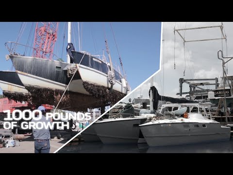 Cruising Trimaran HAULOUT! 10 years and 1000 POUNDS of bottom GROWTH | Sailing Trimaran Kraken 13