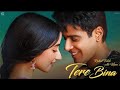 Tere Bina:Ustad Rahat Fateh Ali Khan (Full Song) GURI | Lover Movie Releasing 1st July | Manak World