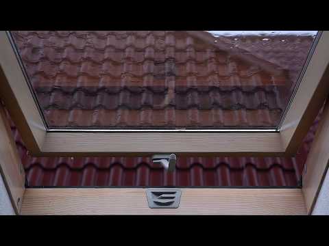 💦 Rain Falling on a Attic Skylight with Quiet Thunder Sounds that Can Help You Sleep Like a Baby 💤