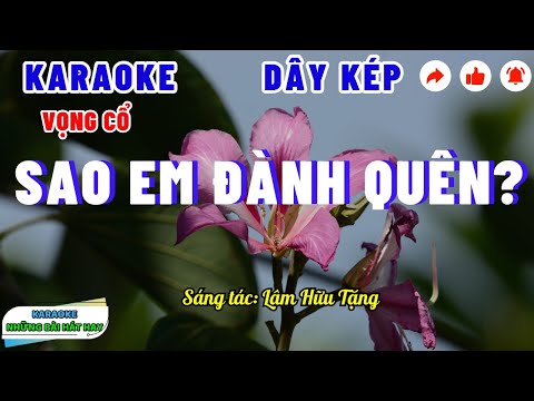 Karaoke Vọng Cổ SAO EM ĐÀNH QUÊN? | Dây Kép | Dành cho các anh thất tình