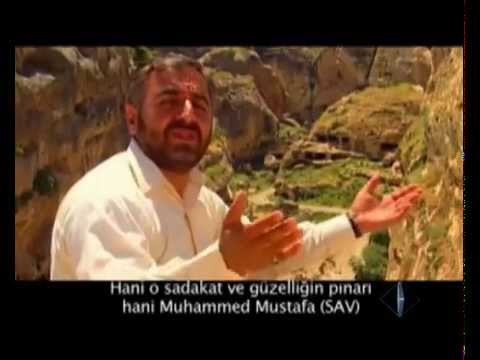 سيف الله - كانى محمد مصطفى