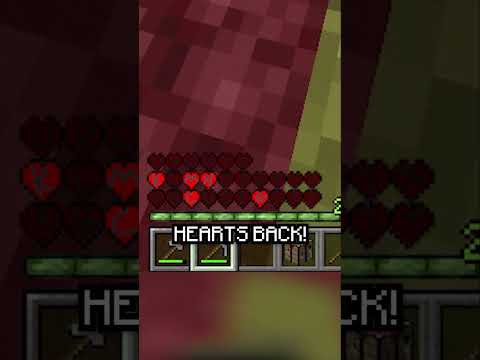💖Minecraft But Every Letter is a Heart!💖