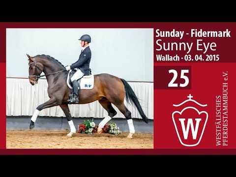 25 Sunny Eye Wallach v. Sunday - Fidermark