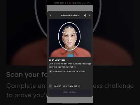 Nekodex airdrop update news today