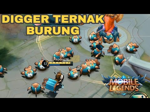 DIGGIE MODE MAYHEM TERNAK BURUNG??, AUTO LEGENDARY!!!
