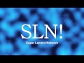 SLN Ident NEW
