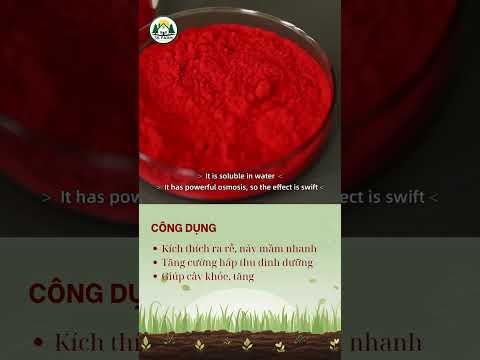 Video Atonik – Kích Rễ