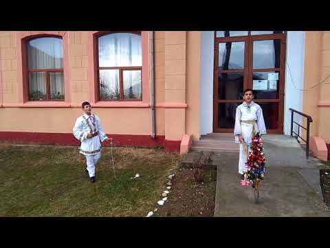 Grupul ”Zurgalai”