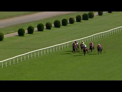 Sledujte 98. České derby v Chuchli ŽIVĚ na EquiTV