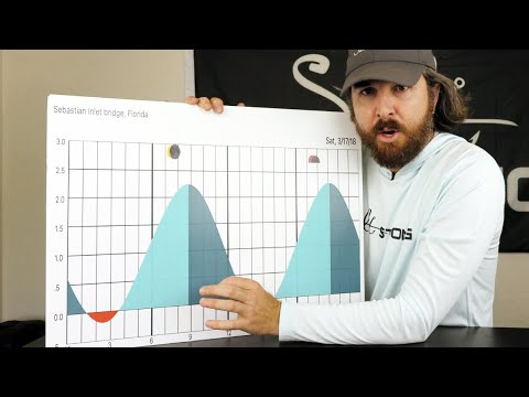 Comment lire les tableaux des marées 101 (pour la sécurité nautique et pour attraper plus de pois...