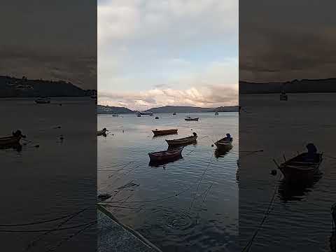 CORRAL REGIÓN DE LOS RIOS AÑO 2026