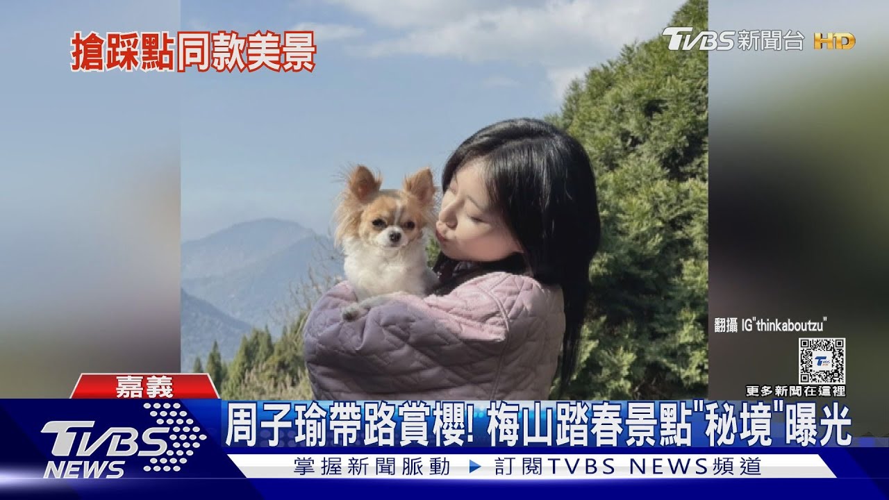 周子瑜抱愛犬賞櫻! 嘉義梅山踏春景點秘境曝