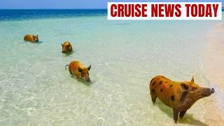 Cruise Passenger Sues Carnival After “Pig Excursion” Turns Dangerous