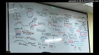 10) Dr. wael salah Cornea (general)