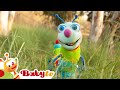 Watching Ducks Relaxing Bedtime Videos For Babies And Toddlers BabyTV