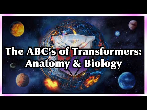 The ABC's of Transformers: Anatomy & Biology