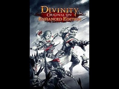 Divinity: Original Sin Enhanced Edition [Part 9 Co-Op]