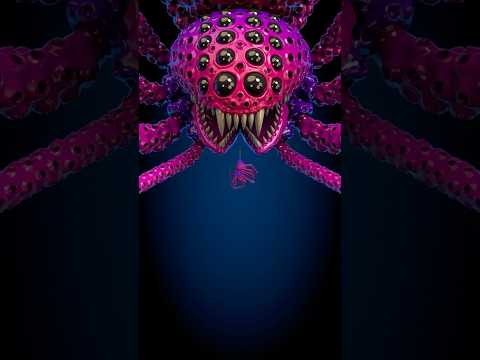 Arachnophobia — The Fear of Spiders 😱🕷