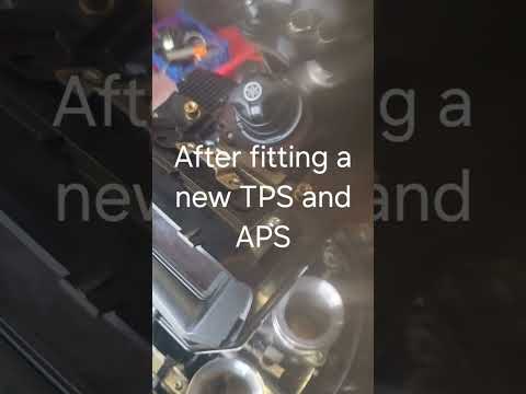 A thumnail preview of a video