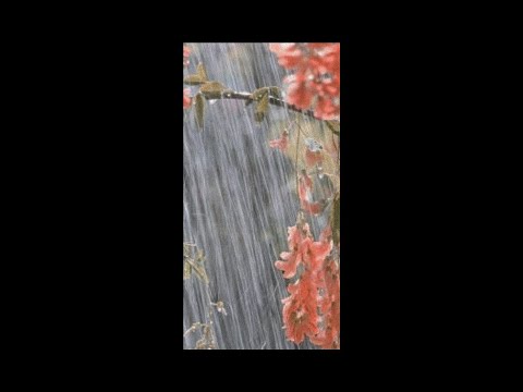 [FREE] Acoustic Joji x Powfu x sadeyes Type Beat - "Shower" ft. Trippie Redd
