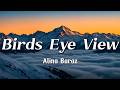 Alina Baraz Birds Eye View Lyrics