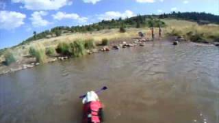 My Swimming English Bulldog Little Buddy - Lonesome Bulldog by The Butthole Surfers