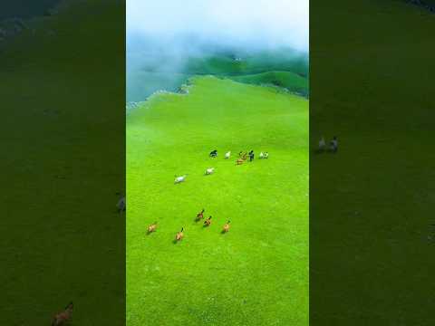 Places in Nepal That Don't Feel Real! 🇳🇵✨ #travel #nature #adventure #explore